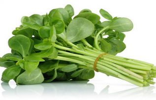 Rüyada Semiz Otu Görmek