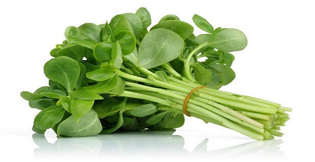 Rüyada Semiz Otu Görmek