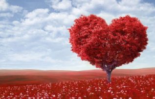 Rüyada Sevgi Ağacı Görmek