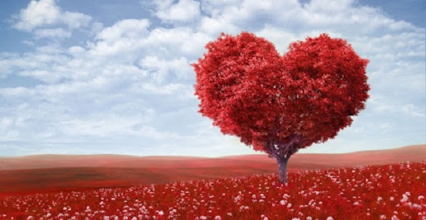Rüyada Sevgi Ağacı Görmek