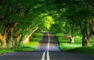 Rüyada Seyahat Etmek