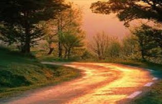 Rüyada Sokak Görmek