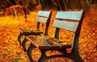 Rüyada Sonbahar Görmek