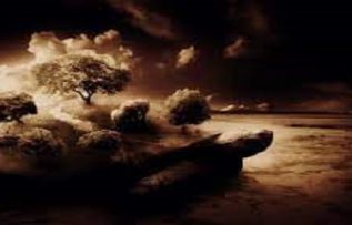 Rüyada Suç Görmek