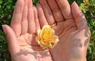 Rüyada Şükür Secdesi Görmek