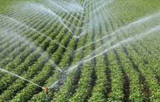 Rüyada Tarla Sulamak