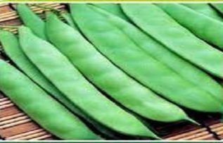 Rüyada Taze Fasulye Görmek