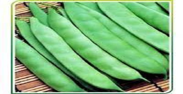 Rüyada Taze Fasulye Görmek