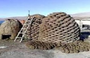 Rüyada Tezek Görmek