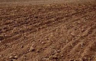 Rüyada Toprak Görmek