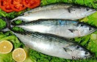 Rüyada Torik Balığı Görmek