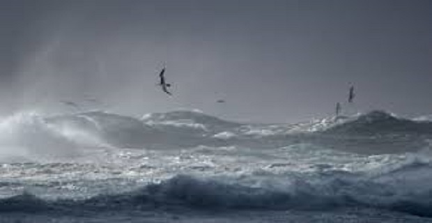 Rüyada Tufan Görmek