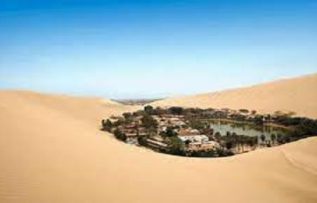 Rüyada Vaha Görmek