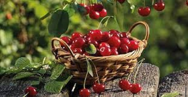 Rüyada Vişne Görmek