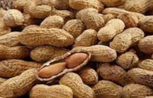 Rüyada Yer Fıstığı Görmek