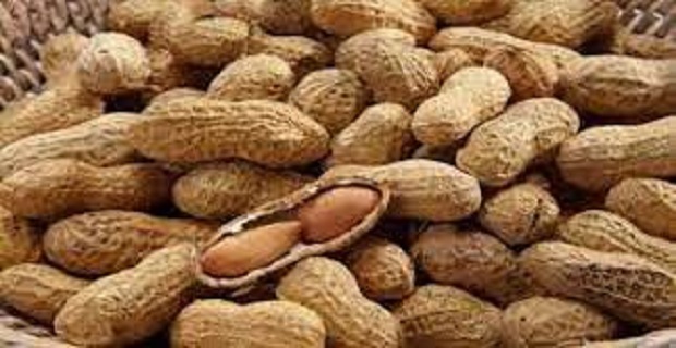 Rüyada Yer Fıstığı Görmek