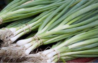 Rüyada Taze Soğan Görmek