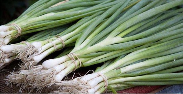 Rüyada Taze Soğan Görmek