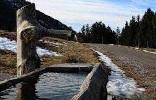 Rüyada Yalak Görmek