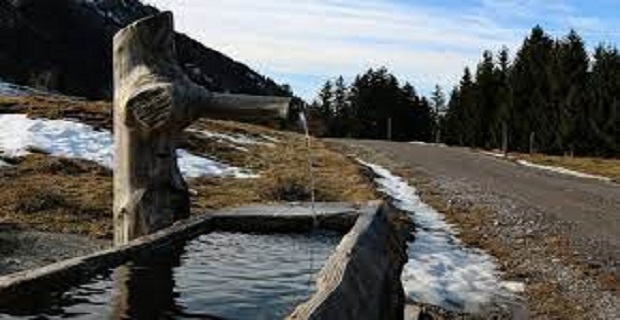 Rüyada Yalak Görmek