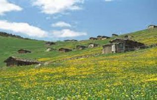 Rüyada Yayla Görmek