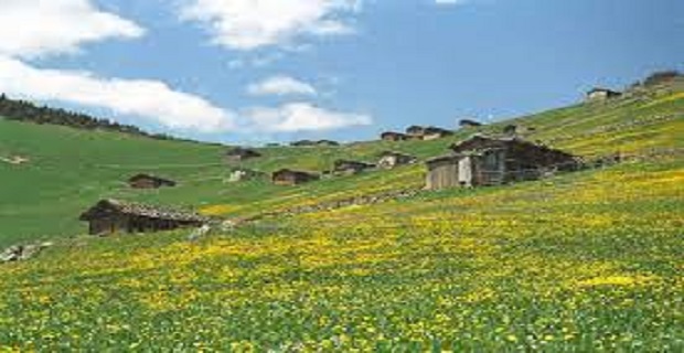 Rüyada Yayla Görmek