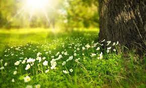 Rüyada Yaz Mevsimini Görmek