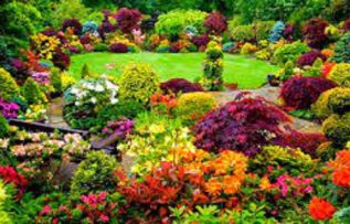 Rüyada Yeşil Bahçe Görmek