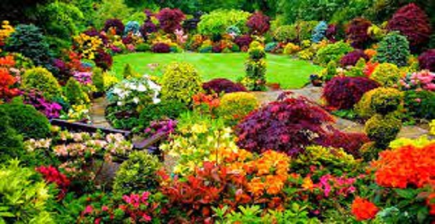 Rüyada Yeşil Bahçe Görmek