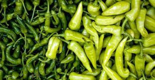 Rüyada Yeşil Biber Görmek