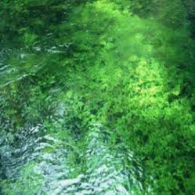 Rüyada Yeşil Su Görmek