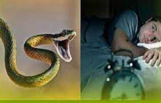 Rüyada Yılan Yemek