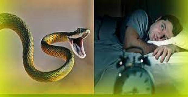 Rüyada Yılan Yemek