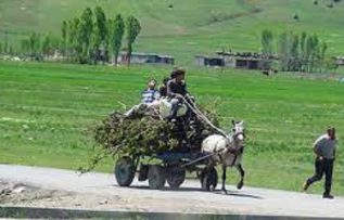 Rüyada Yük Görmek