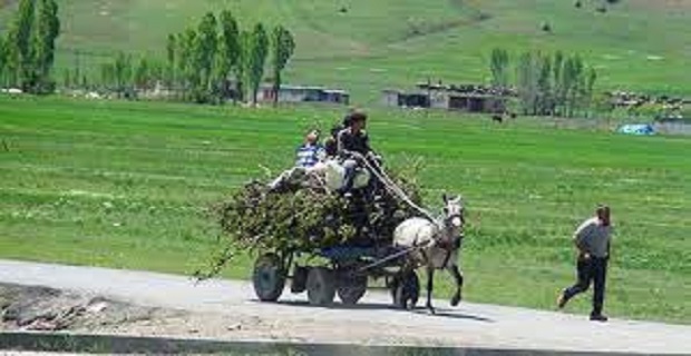 Rüyada Yük Görmek