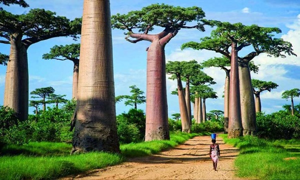 Morondava, Madagaskar
