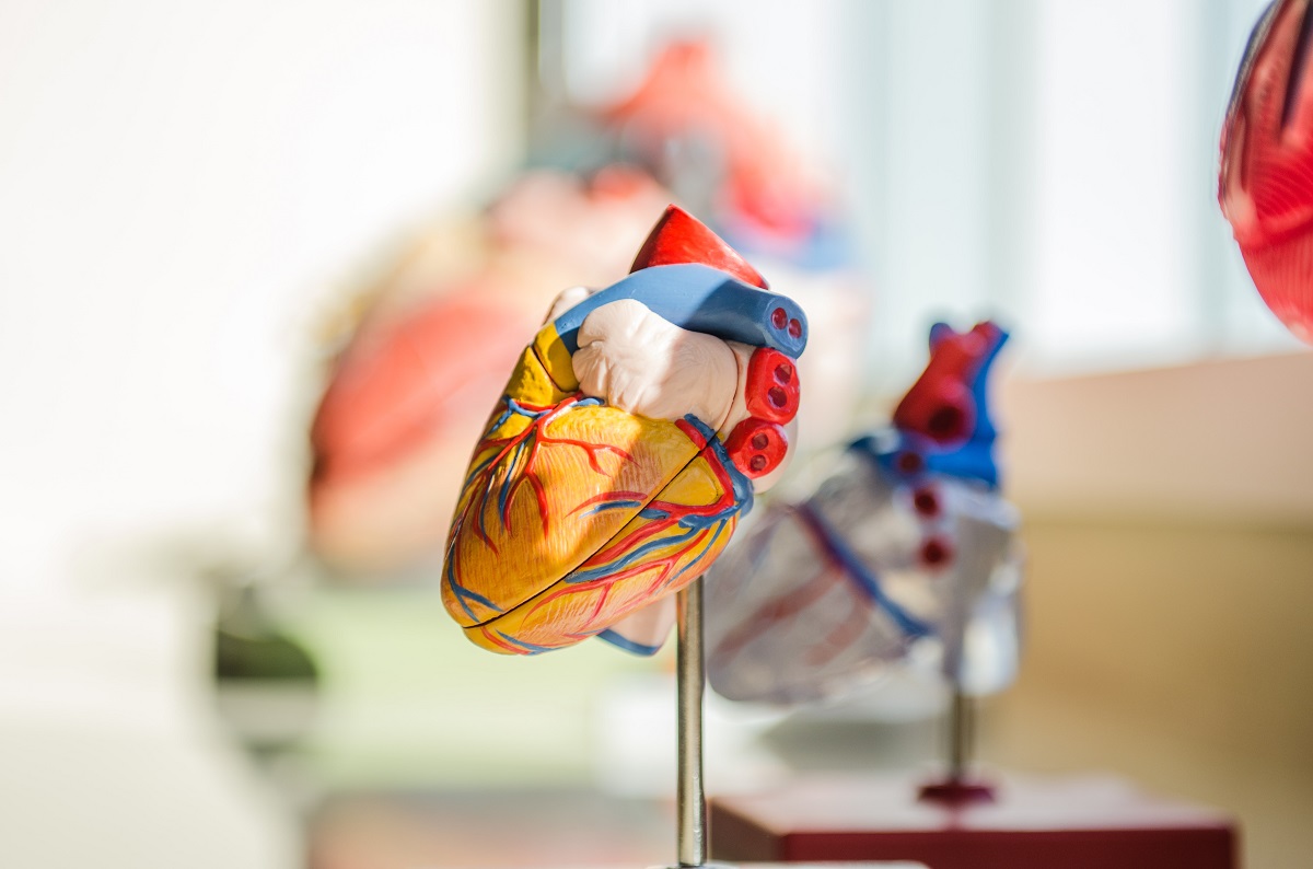 Kalp damar sağlığımızı tehdit eden 5 tehlike!